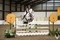 Olivia Wrathall Secures NAF Five Star Summer Bronze League Qualifier Victory at Morris Equestrian Centre 